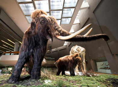 Naturkundemuseum